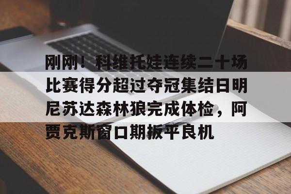 爱游戏app- 法网李娜vs科维托娃 